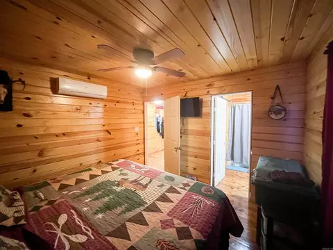 Bedroom - 213 Spring Lake Dr, Mammoth Spring, AR 72554 photo 2 of 5