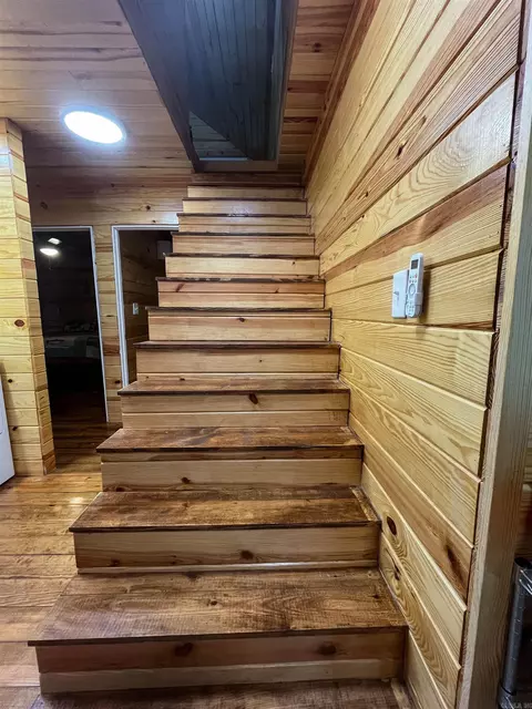Other - 213 Spring Lake Dr, Mammoth Spring, AR 72554 photo 5 of 9