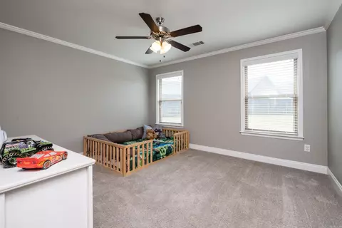 3115 Tobiano Cir, Benton, AR 72015 photo 43