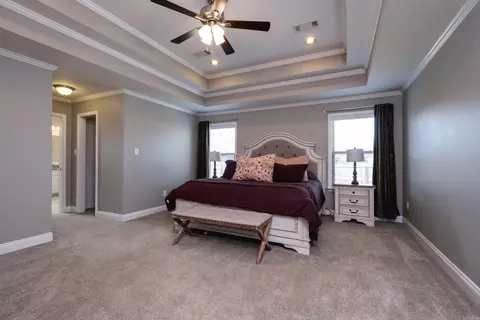 3115 Tobiano Cir, Benton, AR 72015 photo 27