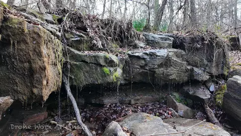 1872 Little Red River Rd, Marshall, AR 72650