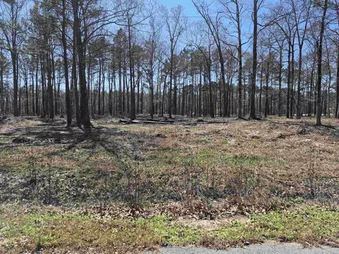 Tract 2 Tbd Lanni Lane, White Hall, AR 71602