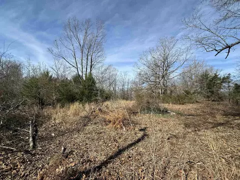 1170 Many Islands Rd, Mammoth Spring, AR 72554 photo 35