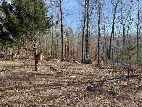 1170 Many Islands Rd, Mammoth Spring, AR 72554 photo 28