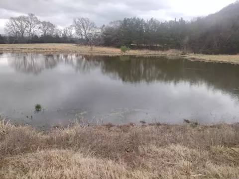 4 Arkansas 14, Mountain View, AR 72560 photo 9