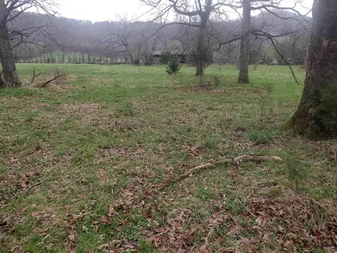 4 Arkansas 14, Mountain View, AR 72560 photo 10