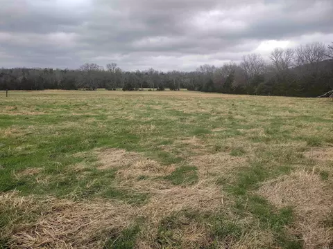 4 Arkansas 14, Mountain View, AR 72560 photo 3