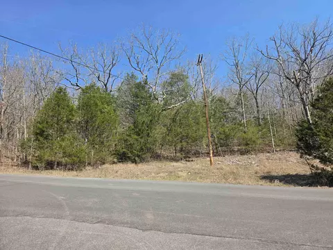 L3 B5 Flathead Drive, Cherokee Village, AR 72529