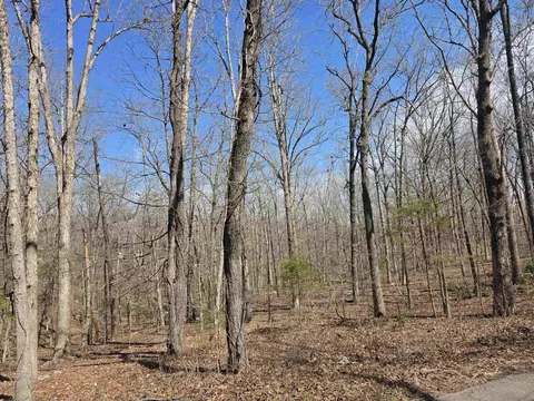 L18 B4 Powhatan Drive, Cherokee Village, AR 72529