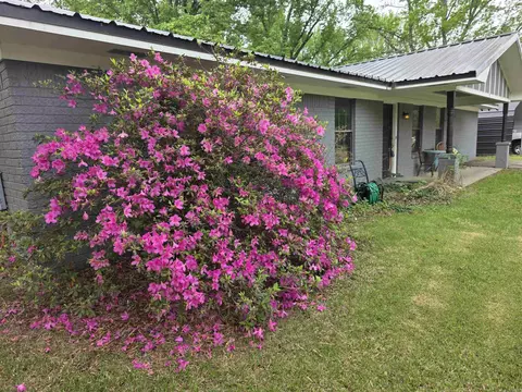 Exterior - 3 Big Oak, Conway, AR 72032 photo 7 of 7