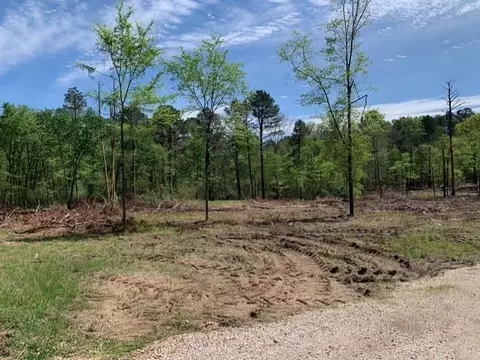 11395 Arkansas 84, Bismarck, AR 71929