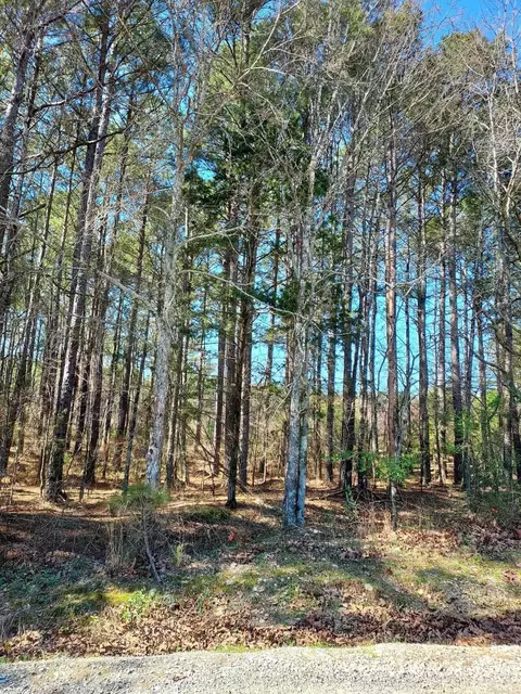6 Manzanares Dr, Hot Springs Village, AR 71909
