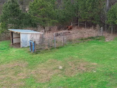 000 Brown Cemetery Rd, Pine Bluff, AR 71603 photo 7