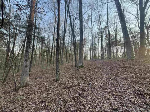 00 Countryside Dr, Quitman, AR 72131 photo 8