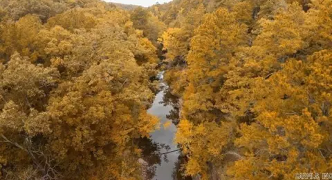 00 Countryside Dr, Quitman, AR 72131 photo 3