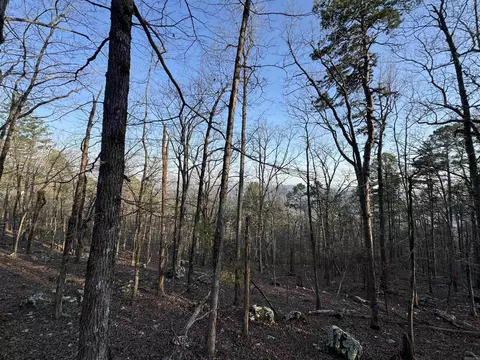 71 Jarandilla Dr, Hot Springs Village, AR 71909