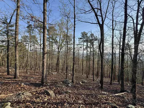 87 Jarandilla Dr, Hot Springs Village, AR 71909