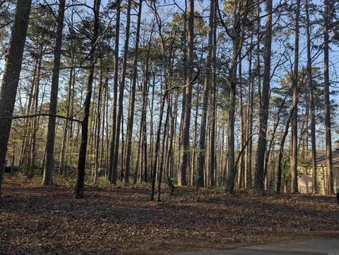 47 Huesca Way, Hot Springs Village, AR 71909