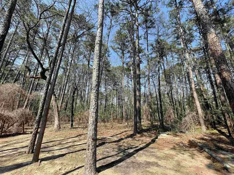 145 Howard Rd, Higden, AR 72067 photo 43