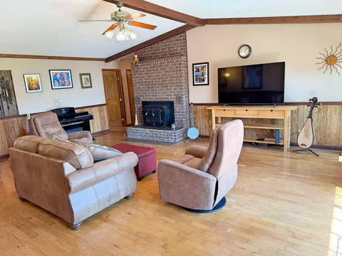 Living - 812 Pitard Loop, Mountain View, AR 72560 photo 4 of 4