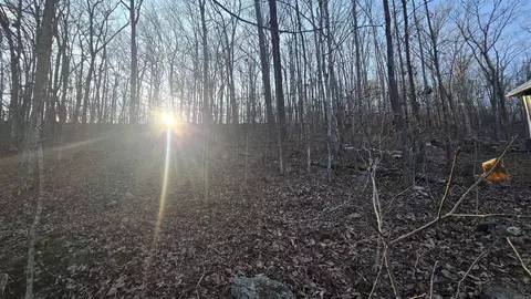 lot66 Lower Ridge Cir, Edgemont, AR 72044 photo 9