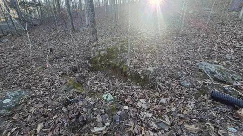 lot66 Lower Ridge Cir, Edgemont, AR 72044 photo 8