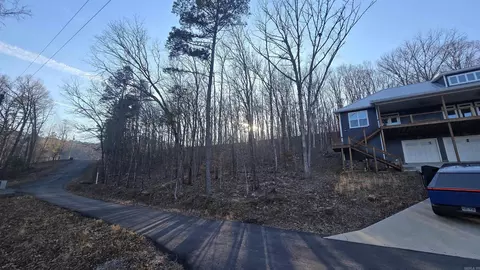 lot66 Lower Ridge Cir, Edgemont, AR 72044 photo 10