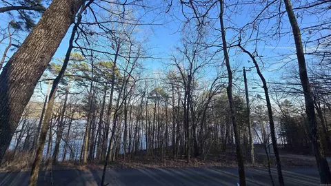 lot66 Lower Ridge Cir, Edgemont, AR 72044 photo 5