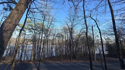 lot66 Lower Ridge Cir, Edgemont, AR 72044 photo 4