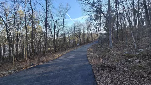 lot66 Lower Ridge Cir, Edgemont, AR 72044 photo 6