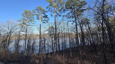 lot66 Lower Ridge Cir, Edgemont, AR 72044 photo 3