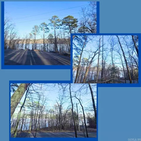 lot66 Lower Ridge Cir, Edgemont, AR 72044