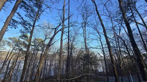 lot66 Lower Ridge Cir, Edgemont, AR 72044 photo 2