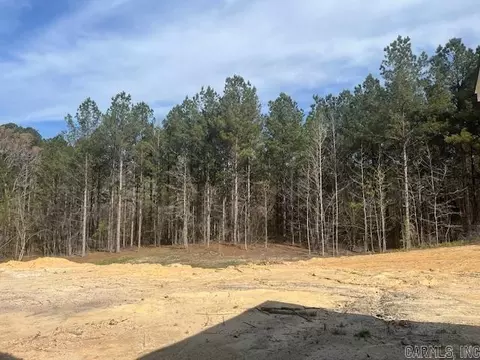 Exterior - 9635 Perry Rd, Bauxite, AR 72011 photo 5 of 6