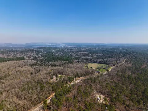 1257 E Highway 188, Mount Ida, AR 71957 photo 19