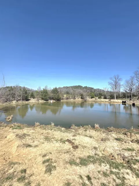 311 Rock Hill Rd, Dolph, AR 72528 photo 4