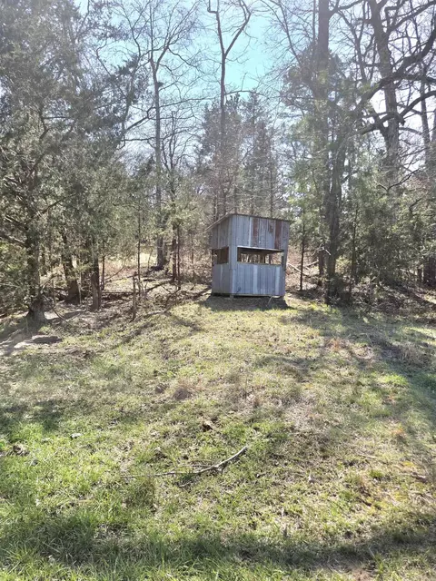 311 Rock Hill Rd, Dolph, AR 72528 photo 6