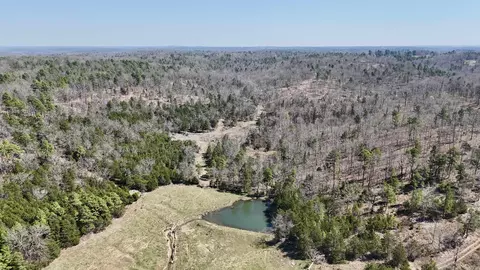 311 Rock Hill Rd, Dolph, AR 72528 photo 35