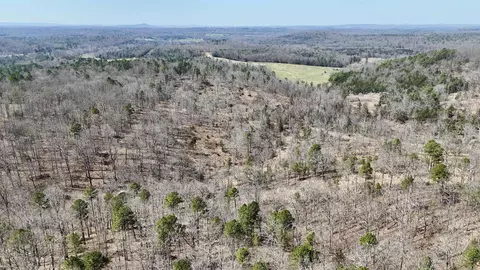 311 Rock Hill Rd, Dolph, AR 72528 photo 28