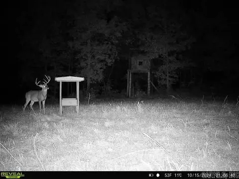 311 Rock Hill Rd, Dolph, AR 72528 photo 17