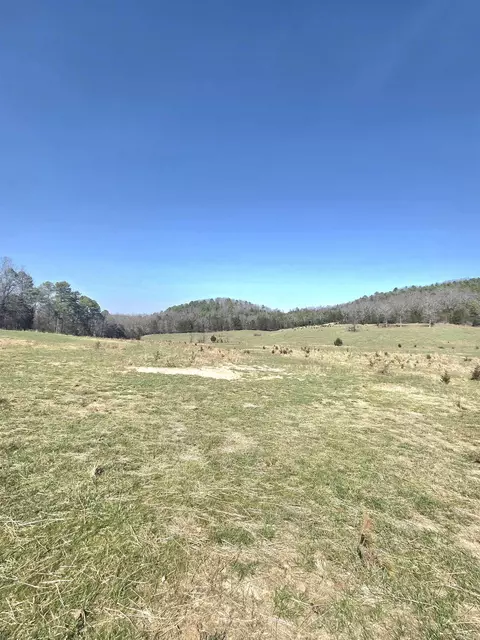 311 Rock Hill Rd, Dolph, AR 72528 photo 5