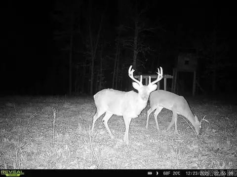 311 Rock Hill Rd, Dolph, AR 72528 photo 16