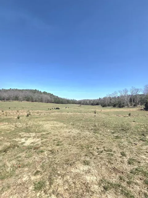 311 Rock Hill Rd, Dolph, AR 72528 photo 2