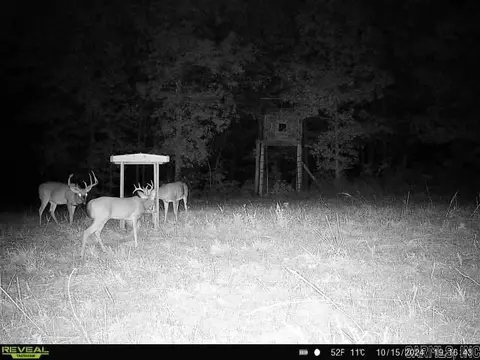 311 Rock Hill Rd, Dolph, AR 72528 photo 20