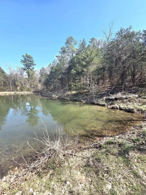 311 Rock Hill Rd, Dolph, AR 72528 photo 8