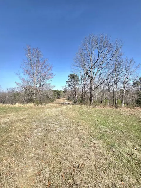 311 Rock Hill Rd, Dolph, AR 72528 photo 10