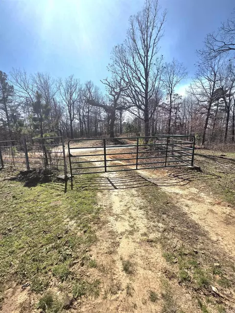 311 Rock Hill Rd, Dolph, AR 72528 photo 3