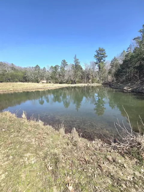 311 Rock Hill Rd, Dolph, AR 72528 photo 7