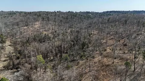 311 Rock Hill Rd, Dolph, AR 72528 photo 34