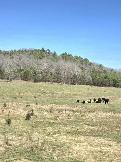 311 Rock Hill Rd, Dolph, AR 72528